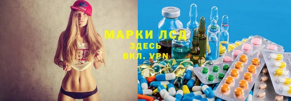 прущие грибы Алексеевка
