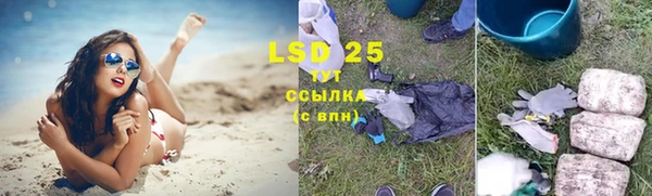 прущие грибы Алексеевка